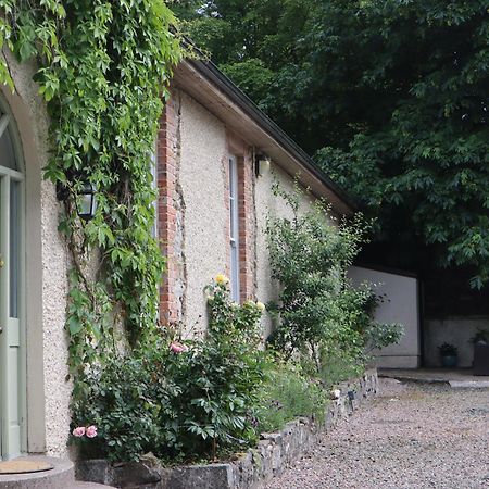 Millvale Cottage Cootehill Extérieur photo